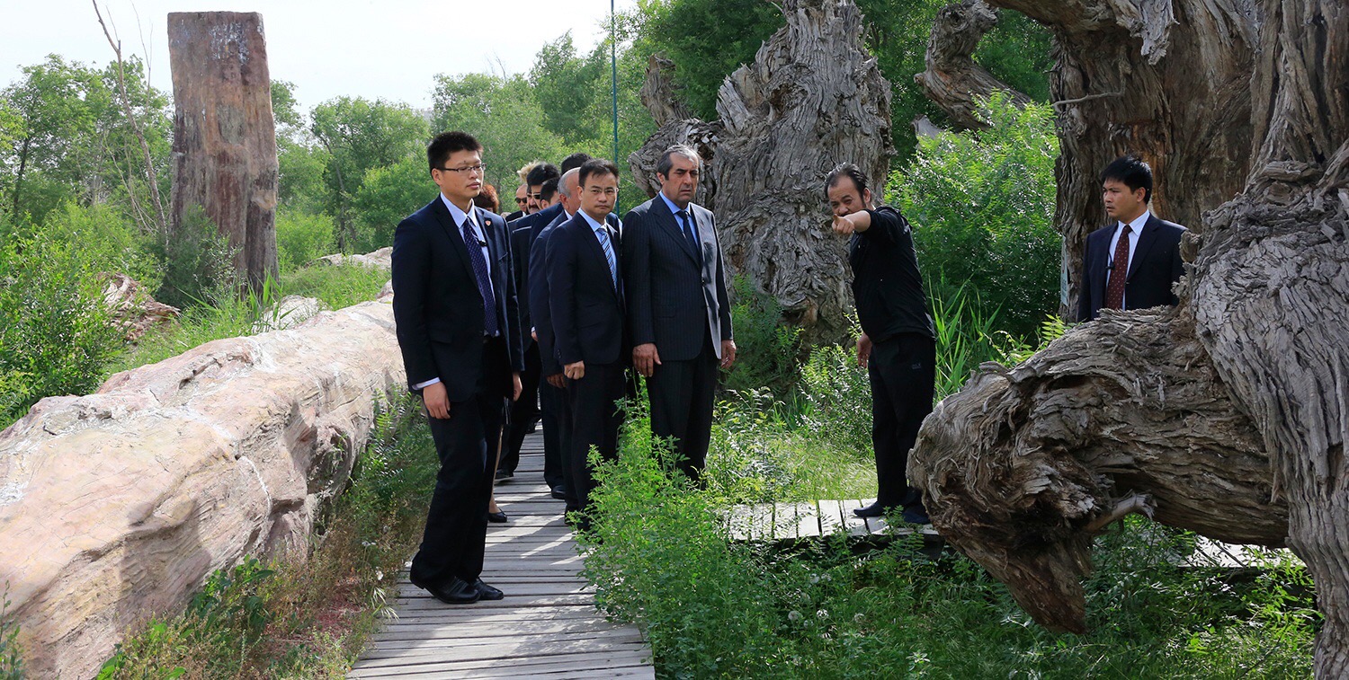 圖片關鍵詞
