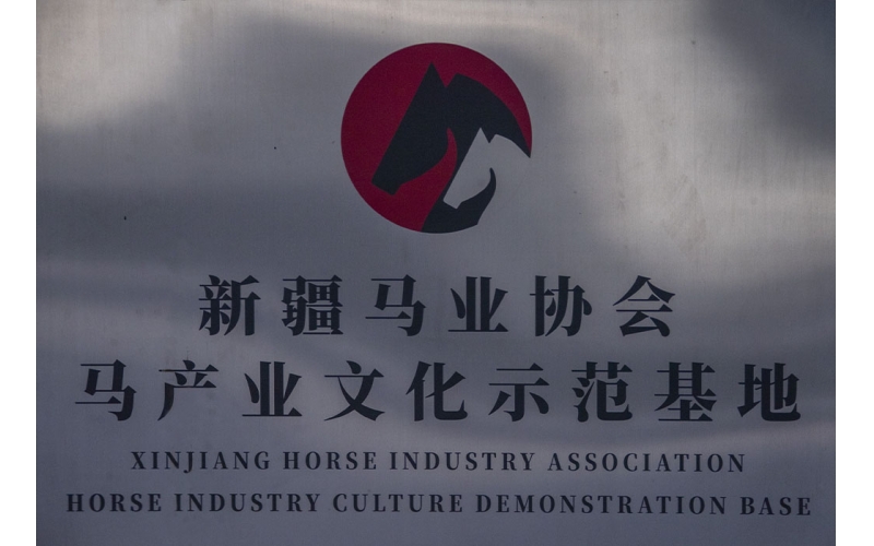 新疆馬業(yè)協(xié)會馬產業(yè)示范基地